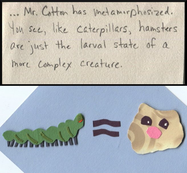...Mr. Cotton has metamorphosized. You see, like caterpillars, hamsters are just the larval state of a more complex creature."